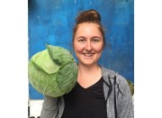 SPRAY FREE GREEN CABBAGE MEDIUM Each KATIKATI Grown 