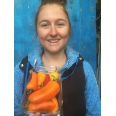 VINE SWEET MINI PEPPERS 175 Grams Punnets Whakatane Grown