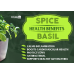 SPRAY FREE BASIL Grown In KATIKATI