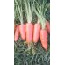 PUREFRESH ORGANIC CARROTS 1 KG Bag - GROWN IN WOODLANDS, SOUTHLAND