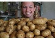 NEW SEASONS MOONLIGHT POTATOES  2 KG Bag Pukekohe Grown